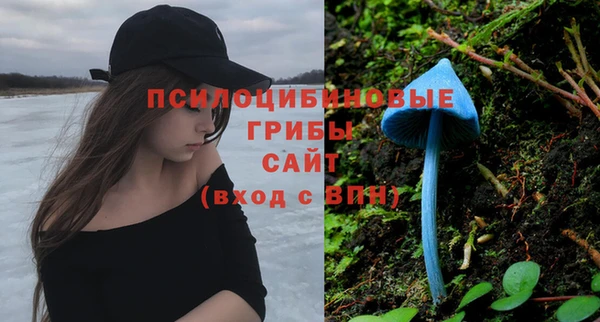 а пвп мука Алексин
