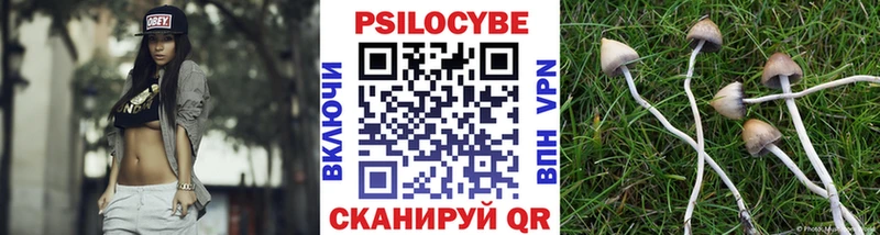 Псилоцибиновые грибы Psilocybine cubensis  даркнет сайт  blacksprut tor  Морозовск 