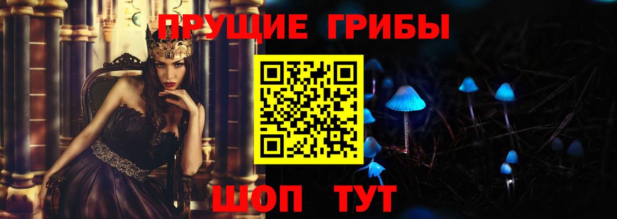 Псилоцибиновые грибы GOLDEN TEACHER  Вход с VPN  как найти   Морозовск  Псилоцибиновые грибы прущие грибы 